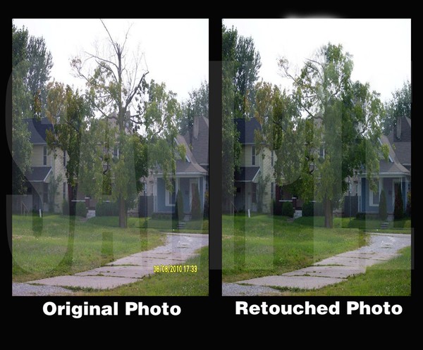 Restored Damaged Tree