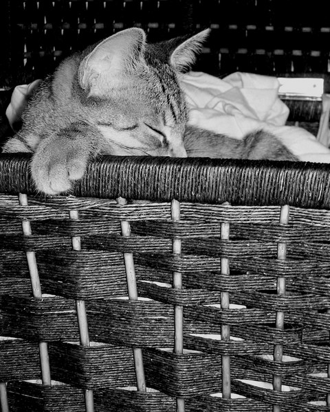 Dirty Laundry