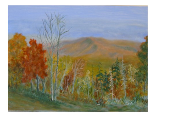 The Parkway View