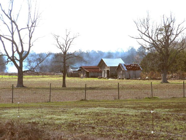 Barns in the smoke