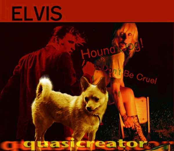 elvis
