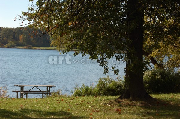 A Quiet Place to Relax Photo