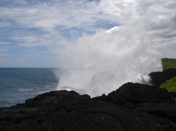 Ocean In Motion #0061