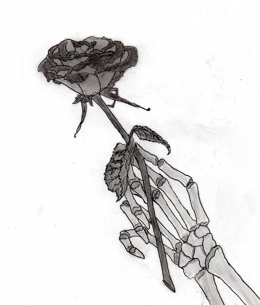 a rose by any other name