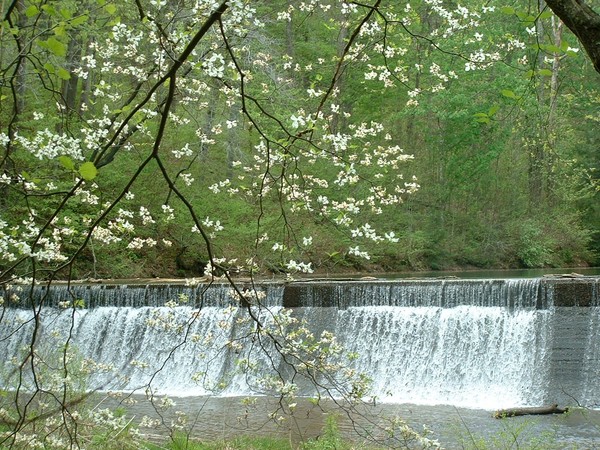 Ellison Falls