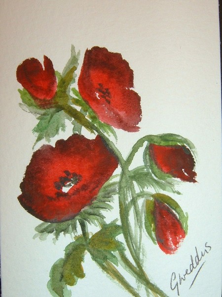 poppies