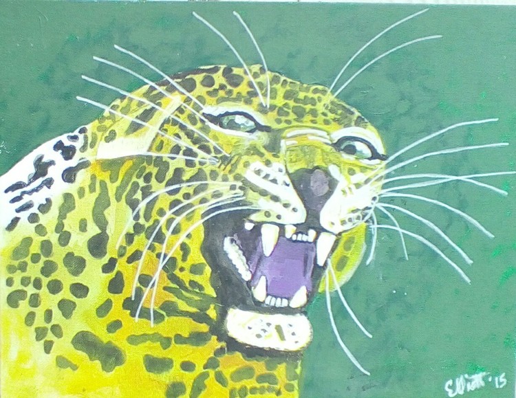 snarling leopard