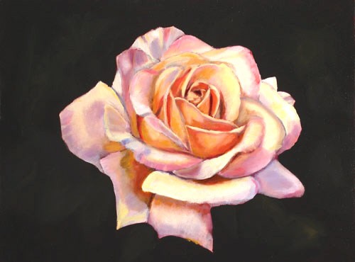 Rose: Peace
