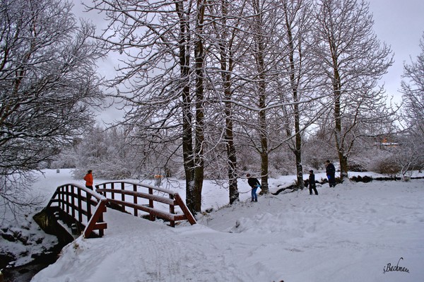 Playing in the snow !