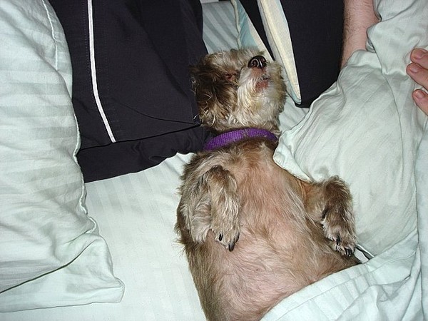 Shared Bed