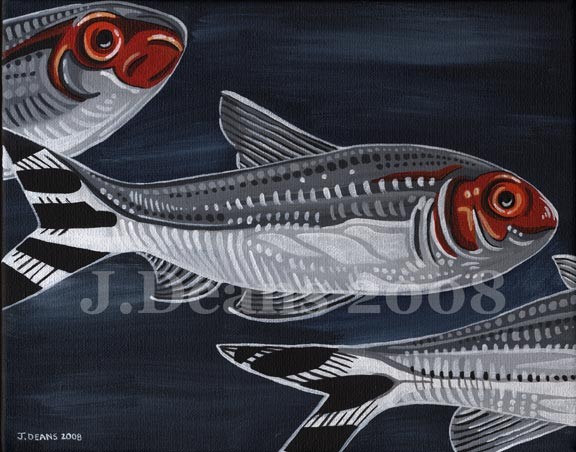 Rummy-Nose (Tetra Series)