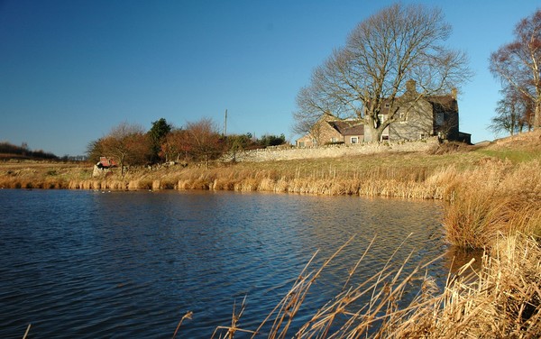 Scottish Home