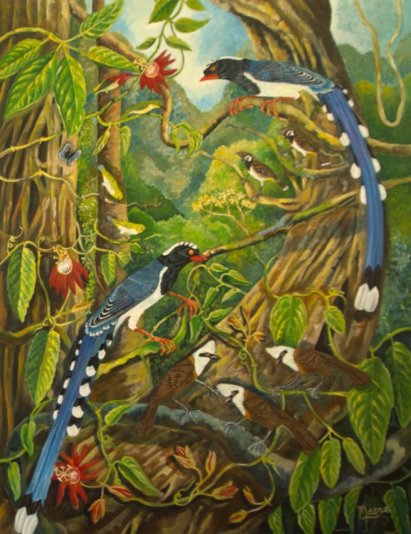 Blue tails