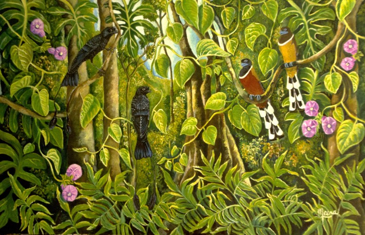 Forest family 2