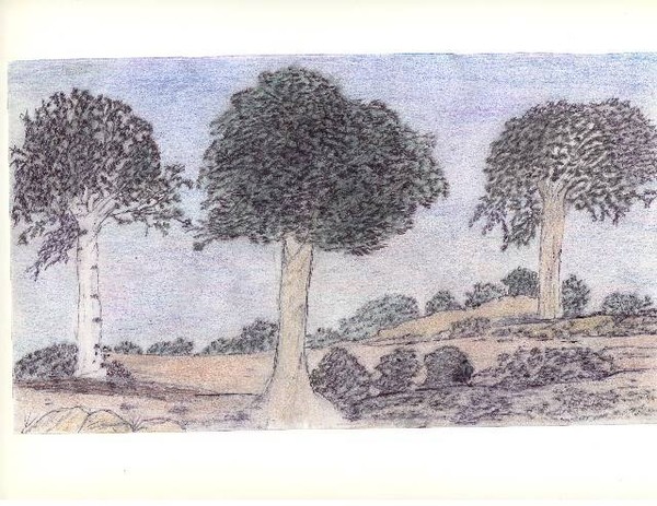 Path of Trees