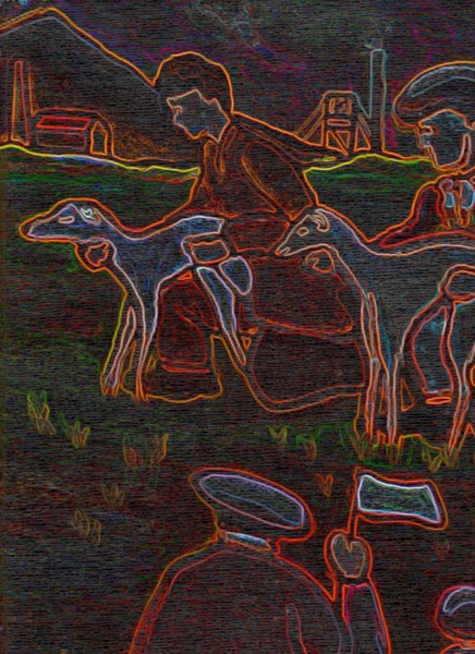 THE WHIPPET RACERS