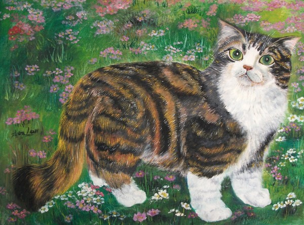 beautiful cat