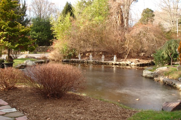 The Pond