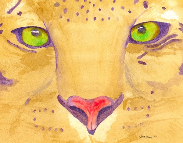 Cheetah Eyes