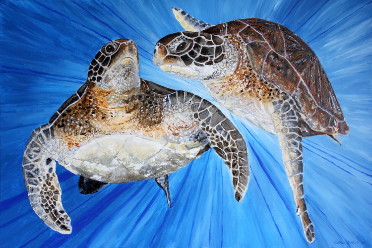 Two Turtles