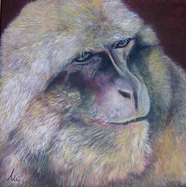 monkey II