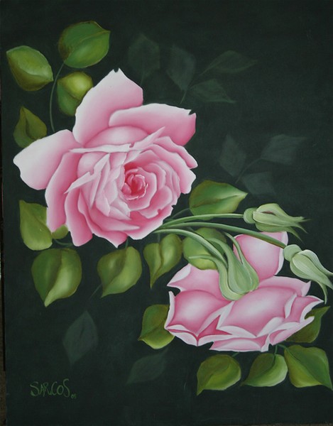 begginers rose