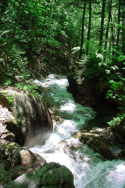 The Falls in NH