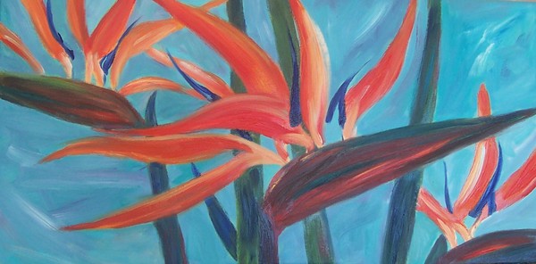 Bird of Paradise