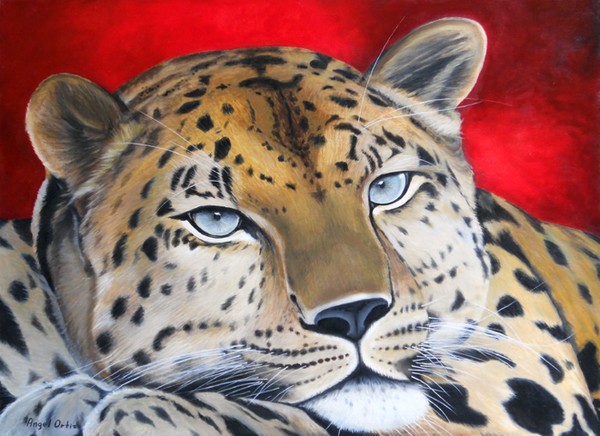 Leopardo