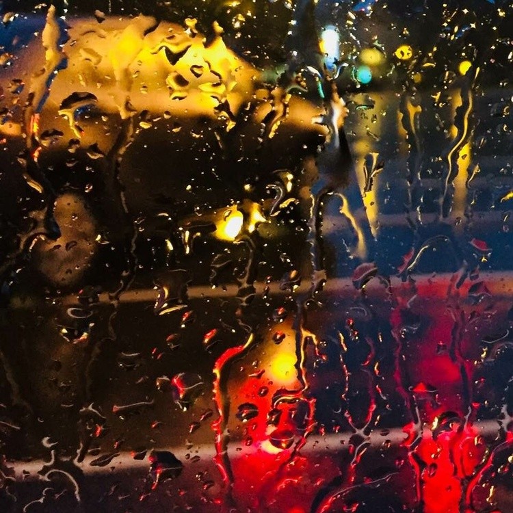 Red Green, 2018
