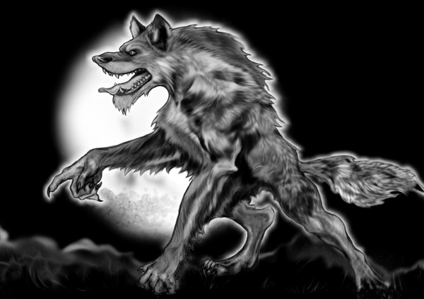 Wolf