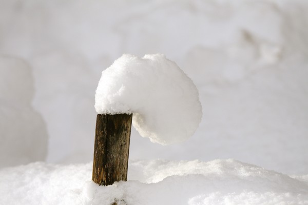 tiny snow drift