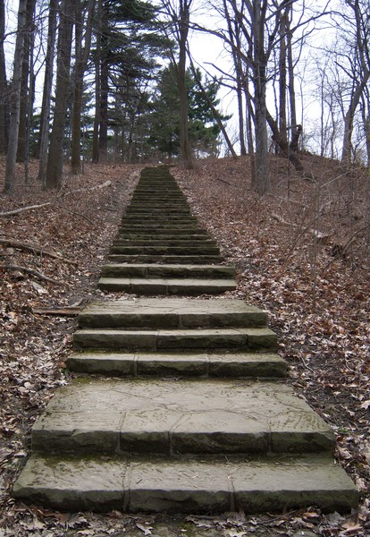 The Steps