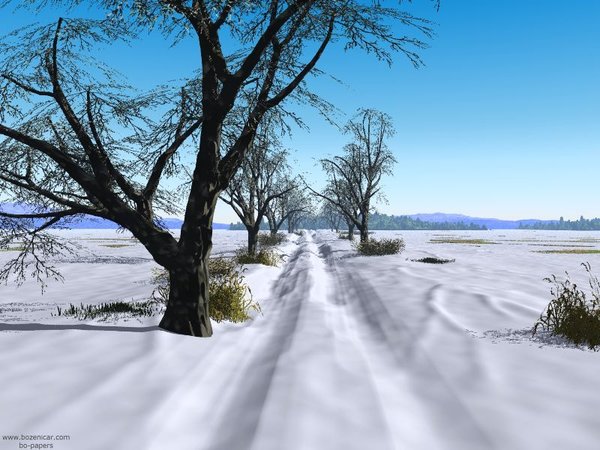 A path in the snow