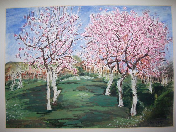my garden in spring