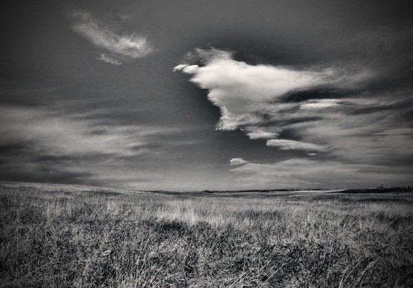 Prairie Scene 1-6312