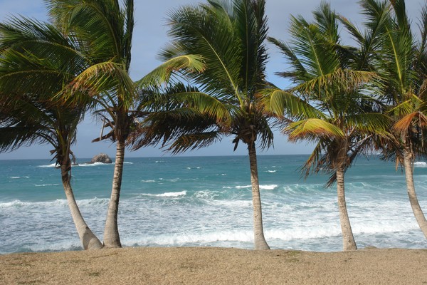 Pigeon Island