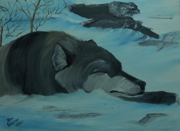 Wolf Relaxing After a Night of Hunting