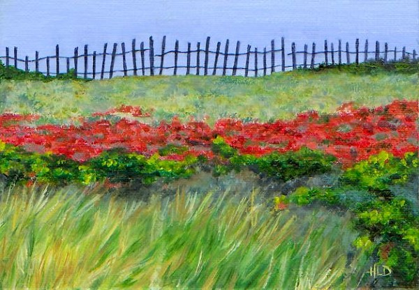 Reed Park Fence