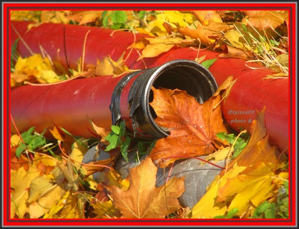 FALL..SERIES