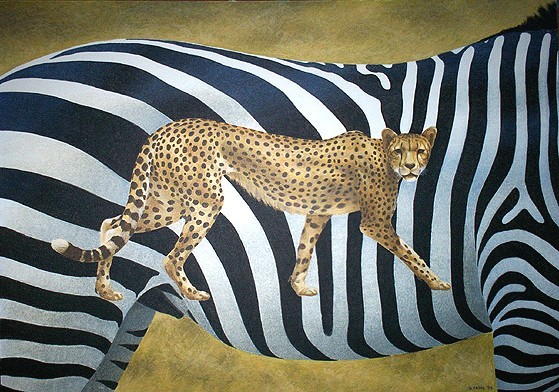 Zebra