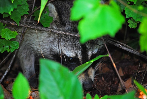 Can you see me!
