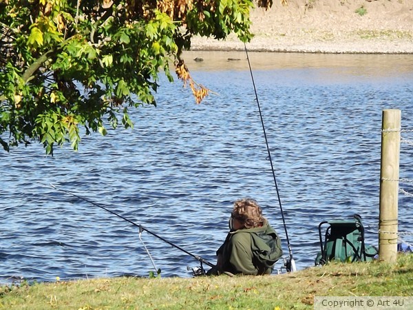 Waiting for the Catch of the Day