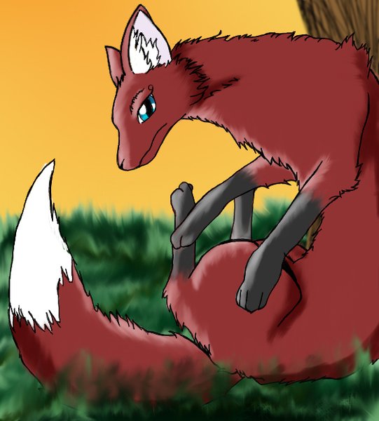 Fox