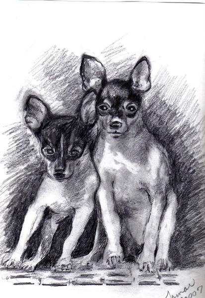 Two Fox Terriers