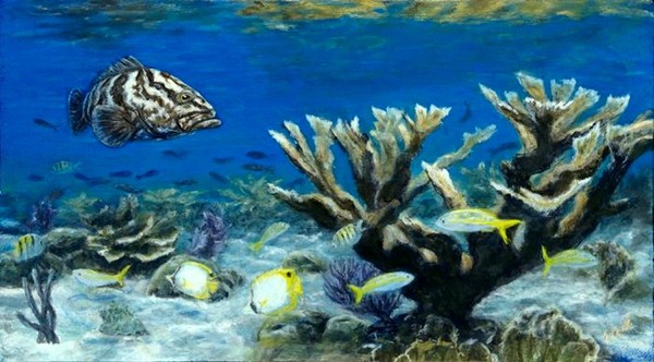 Nassau grouper