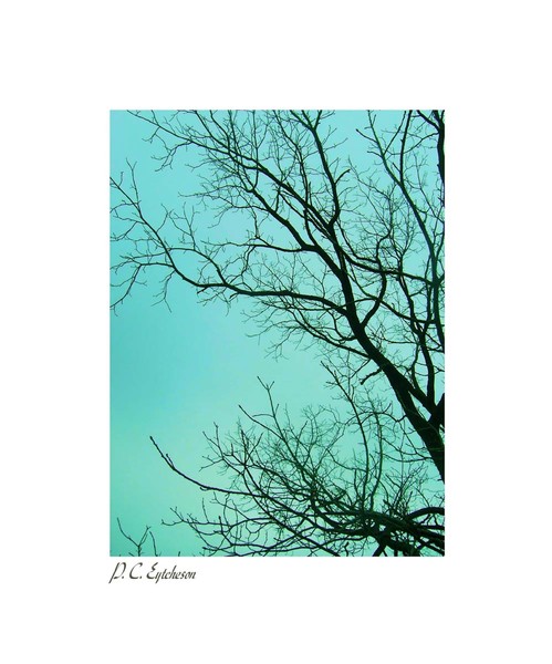 Aqua Sky