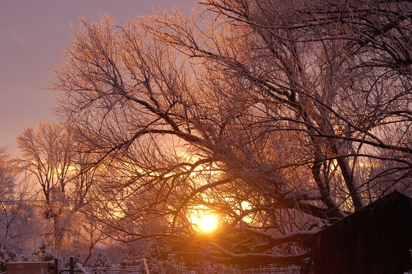 golden sun set 