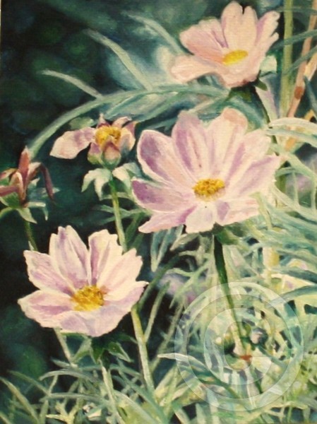 Purple Flowers Postcard
