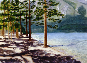 Shadowplay at Pope Beach
